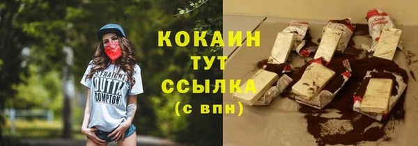 дмт Тавда