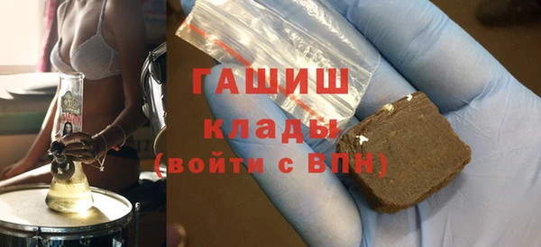 стаф Тайга