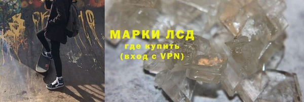 сатива Гусев