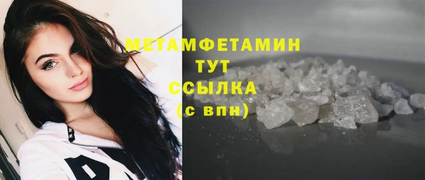 сатива Гусев