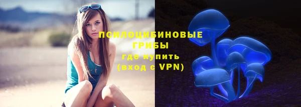 сатива Гусев