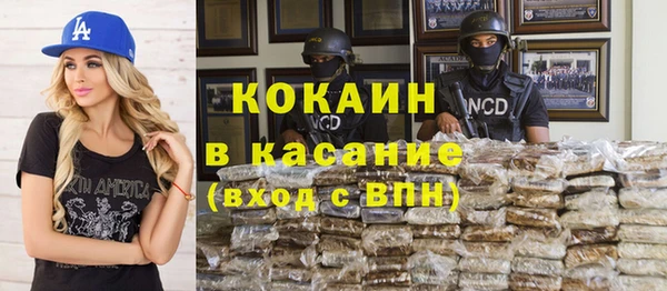 сатива Гусев