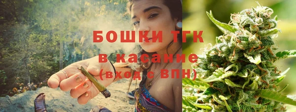 сатива Гусев