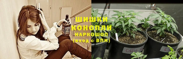 первитин Гусиноозёрск